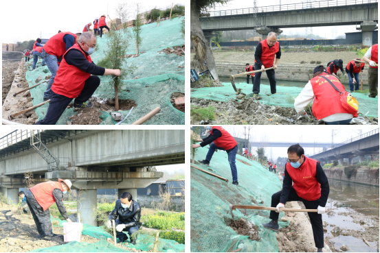 【中心动态】履行植树义务 共建美丽园区  