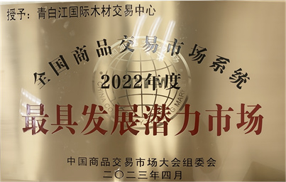 2022年度最具发展潜力市场3