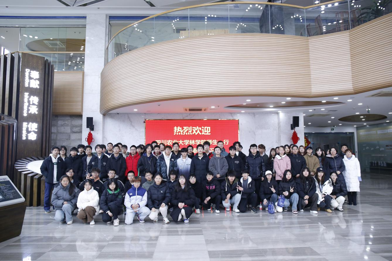 【木文化交流】木材交易中心助力高校学子探秘木材行业